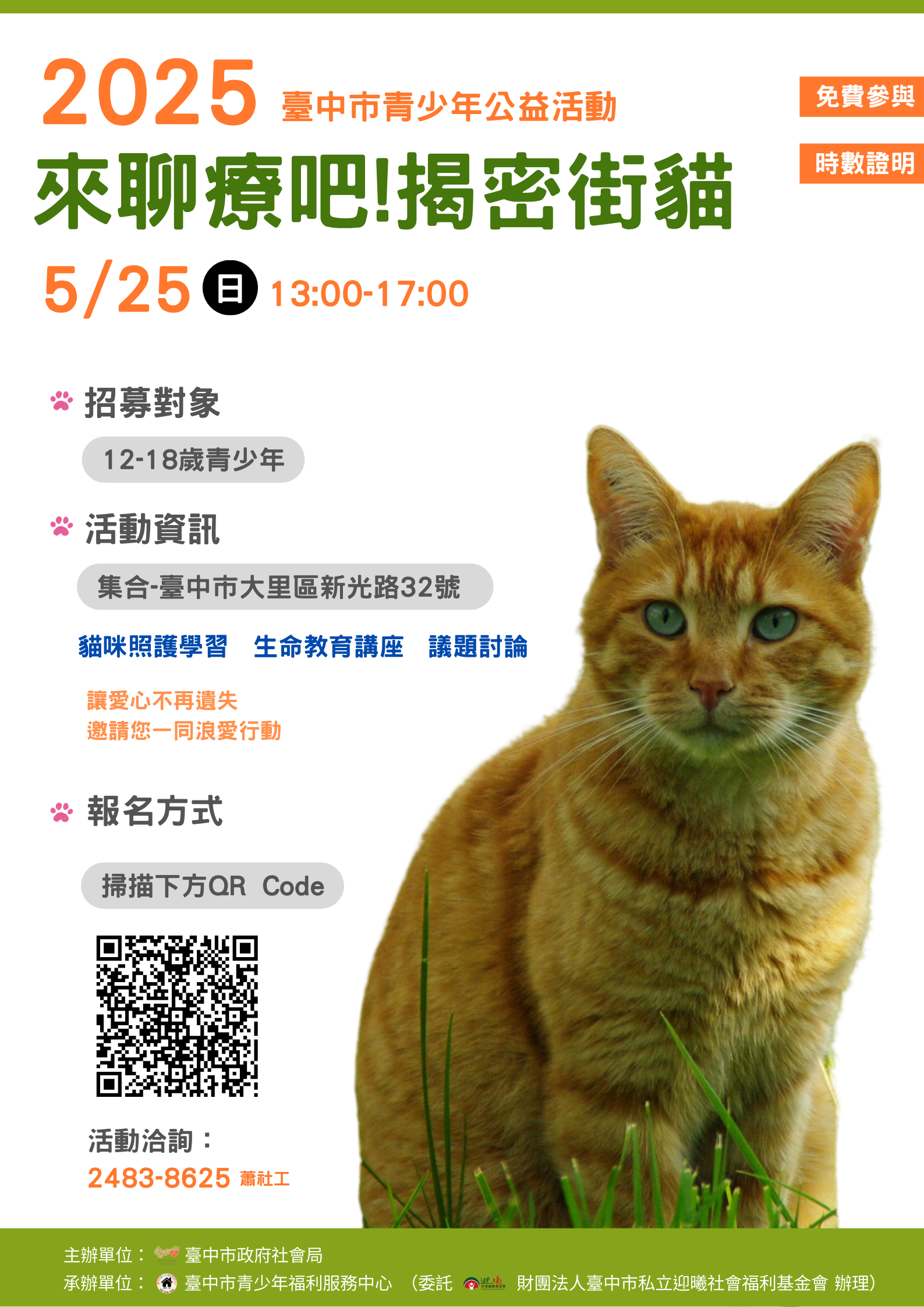來聊療吧!揭密街貓